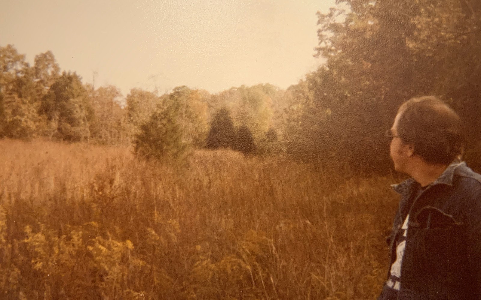 Tom's dad in a goldenrod field, denim jacket, looking out